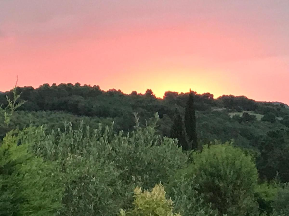 Gite Au Coeur Du Pays Cathare Verzeille Dış mekan fotoğraf